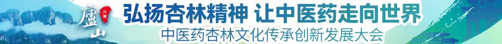 日白虎b中医药杏林文化传承创新发展大会